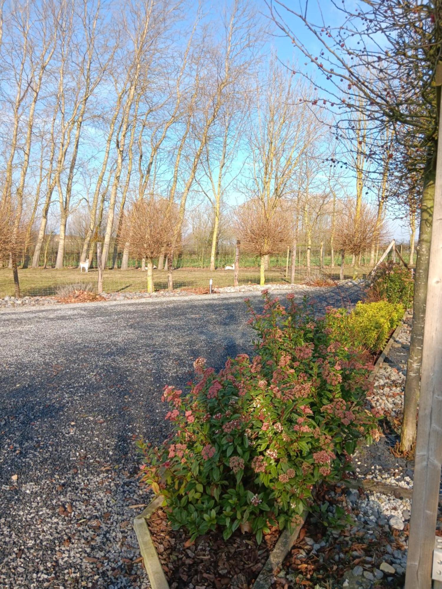 La Chambre Des Daines Binche Buitenkant foto